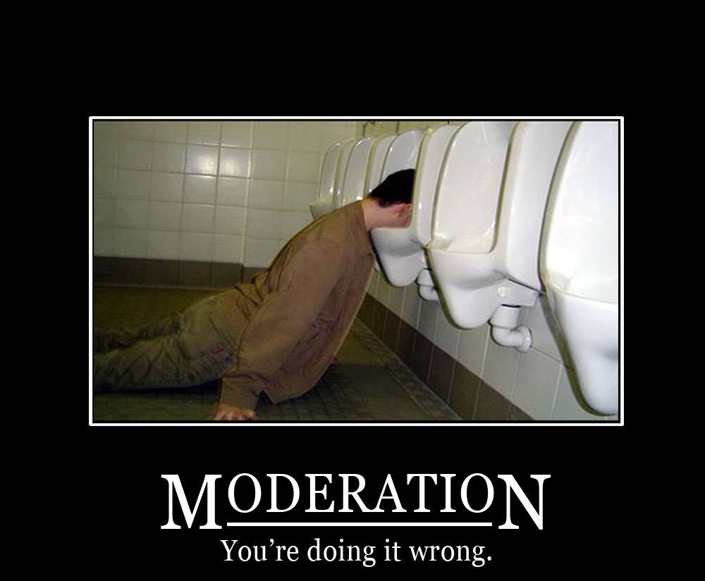 Image result for moderation memes